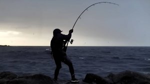 ДУМАЛ БРЕВНО! Королевская рыба на 147 см.