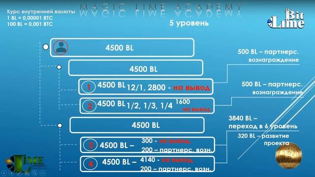 Разбираем Маркетинг бонусно-накопительной программы BitLime компании MagicLime Academy/ онлайнбизне
