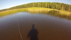 рыбалка ультралайт Озеро Пионерское в Выборгском районе Лен. обл.