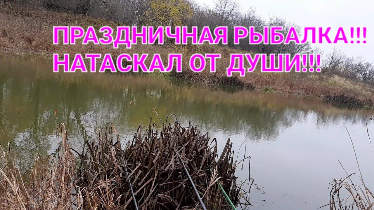 Натаскал карасей!!! Праздничный выпуск!!! смотреть онлайн