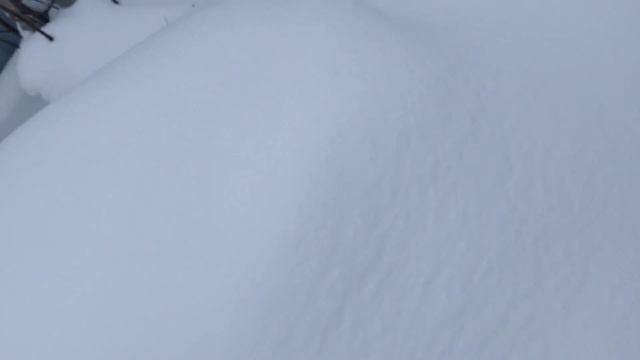 первый раз раскопали улей лежак 05.02.2024 смотреть онлайн