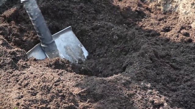 Как посадить саженец яблони? Советы от эксперта Hitsad ? смотреть онлайн