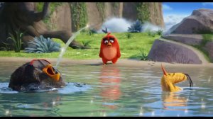 Angry Birds в кино  | Трейлер