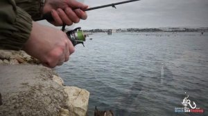 Ловим Смариду! Черноморский окунь на микроджиг.