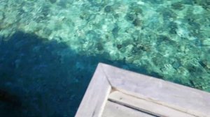 Мальдивы. Вот почему все хотят на Мальдивы! Отель Dhiggiri resort