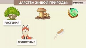 Какие бывают растения _ Окружающий мир 2 класс #39 _ Инфоурок