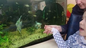 Сергиево-Посадский детский дом-интернат "Березка"