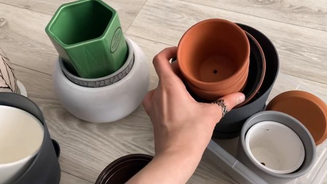 влог✨ антуриум кларинервиум и разговоры смотреть онлайн