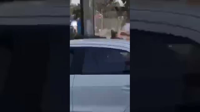 Засмотрелся ?