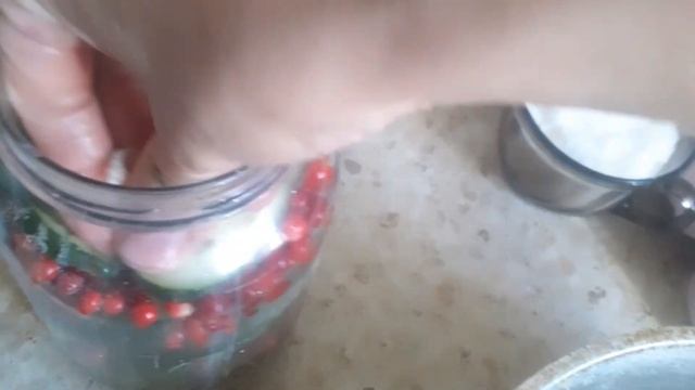 маринованные огурцы с брусникой, без уксуса на зиму.