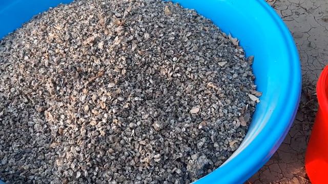 Как удобрить землю Голубиным пометом смотреть онлайн