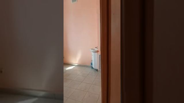 Коммерческое помещение смотреть онлайн