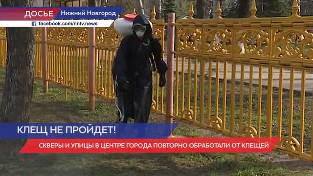 Скверы и улицы в центре Нижнего Новгорода повторно обработали от клещей смотреть онлайн