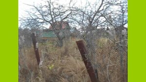 Сады Пахма.mp4