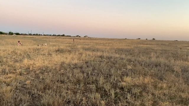 КАМЕРА НА СОЛНЕЧНЫХ БАТАРЕЯХ ОТ KERUI ВИДЕОНАБЛЮДЕНИЕ БЕЗ ЭЛЕКТРИЧЕСТВА смотреть онлайн