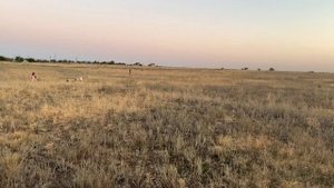 КАМЕРА НА СОЛНЕЧНЫХ БАТАРЕЯХ ОТ KERUI ВИДЕОНАБЛЮДЕНИЕ БЕЗ ЭЛЕКТРИЧЕСТВА
