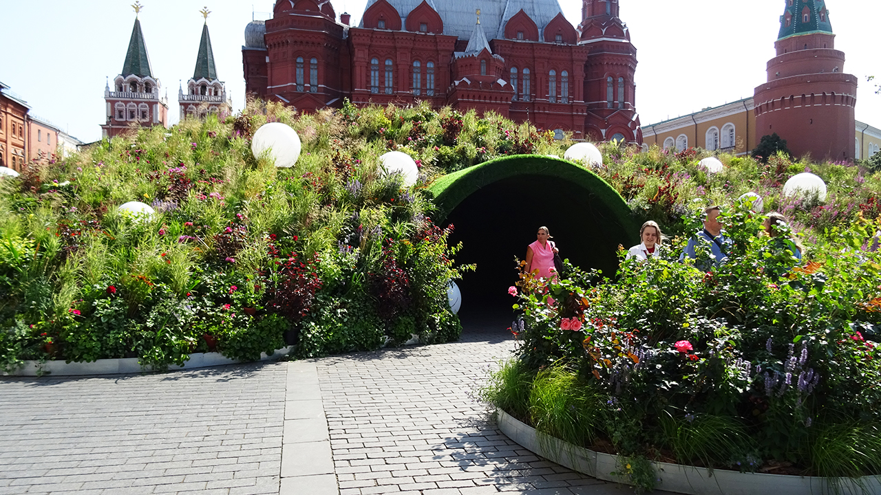 В центре Москвы зацвело "всё". Цветочный джем 2023. Театральная, Площадь Революции, Охотный ряд.