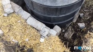 Работа Ростов