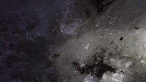 Рыбалка на налима зимой.Ловля налима на донку ночью