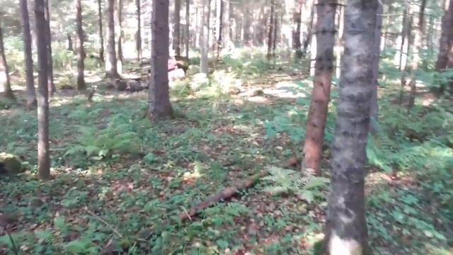 Нашёл рог!!! смотреть онлайн