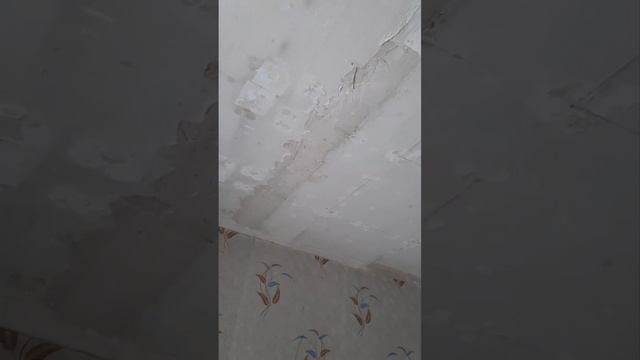 Демонтаж потолочной плитки.