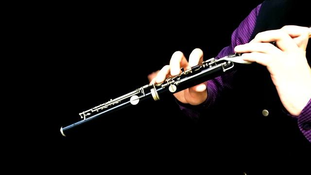 J.S.Bach:Partita a-minor for Solo Flute BWV 1013 смотреть онлайн