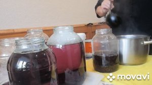 Рецепт компота из черемухи.