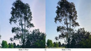 Redmi Note 11 Pro Plus vs Redmi Note 11 Pro Camera Test