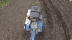 Сажаю картошку мотоблоком Нева.