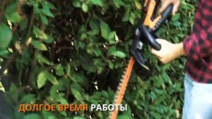 WORX WG259E 20 В АККУМУЛЯТОРНЫЙ КУСТОРЕЗ - Русский - www.worx.com