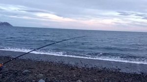 Ловля камбалы Магаданская область Охотское море