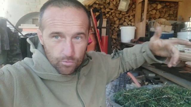 Эксперимент.Почему наши деды утепляли потолочное перекрытие опавшей листвой. смотреть онлайн