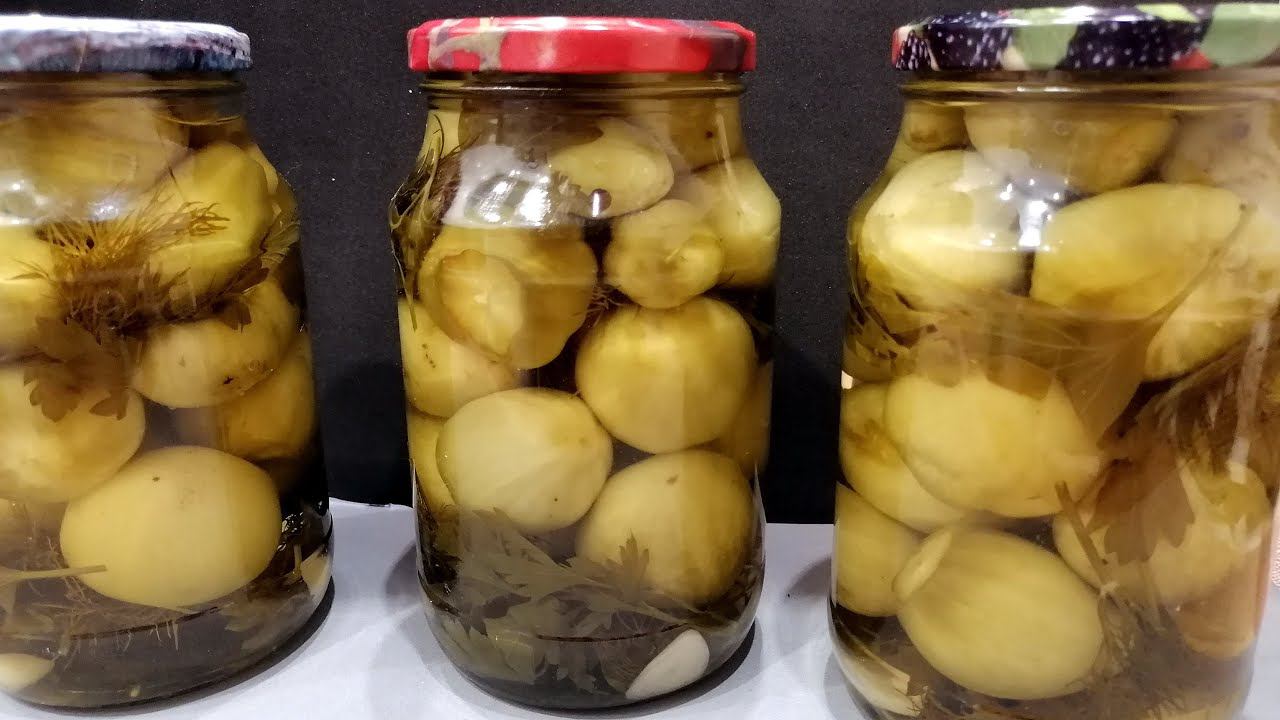 Маринованные зеленые помидоры на зиму - быстро и просто.