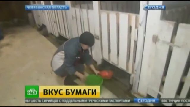 Сапрокорм - кормовая добавка смотреть онлайн