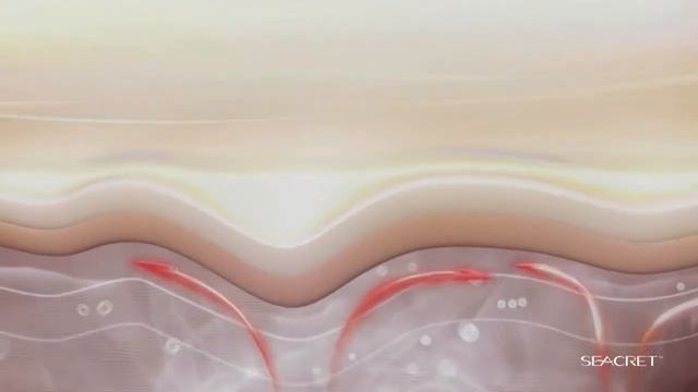 Seacret Direct Products from Dead sea смотреть онлайн