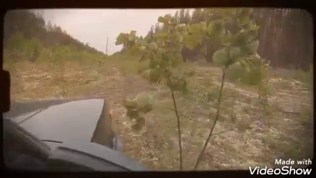 Работа в республике Коми. Окрестности г. Сыктывкар. Июнь 2022 года. смотреть онлайн