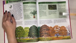 ASMR | Чтение книги. Энциклопедия. Чтение асмр.