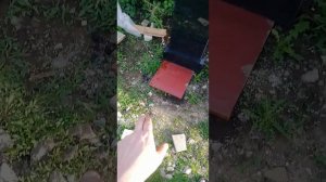 Тумба и Стелла для памятника. Гранитный памятник. Карелия.