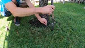 Как сделать идеальный приствольный круг