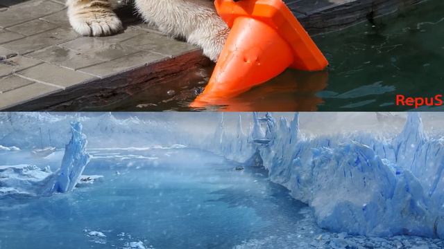 Шилка и Герда смотреть онлайн