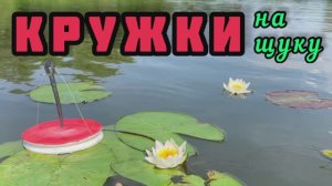 Рыбалка на кружки. Ловля щуки на кружки летом. Кружки Азор фишинг отзыв и испытания на рыбалке