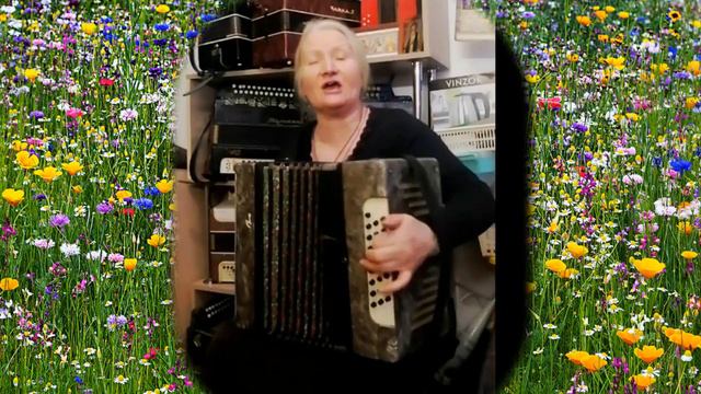 Ольга Ильина Отношения все те же(гармонь)