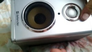 Как сделать самодельную колонку.(Обзор)