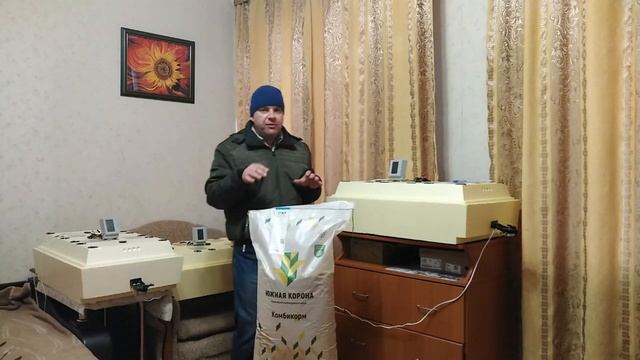 Чем кормить суточных цыплят!!!! смотреть онлайн