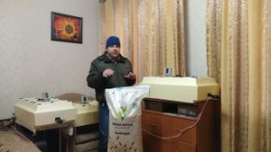 Чем кормить суточных цыплят!!!!