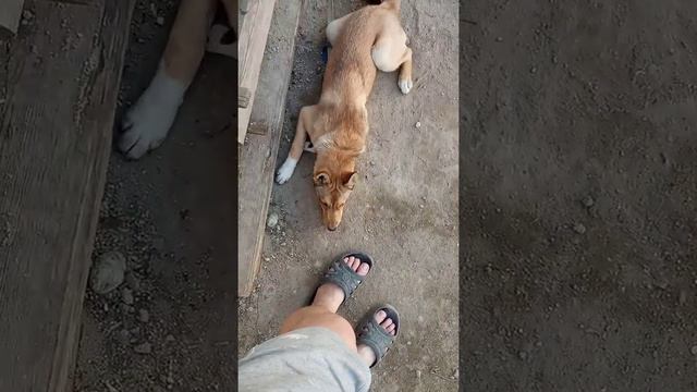 22 мая 2022 г. смотреть онлайн