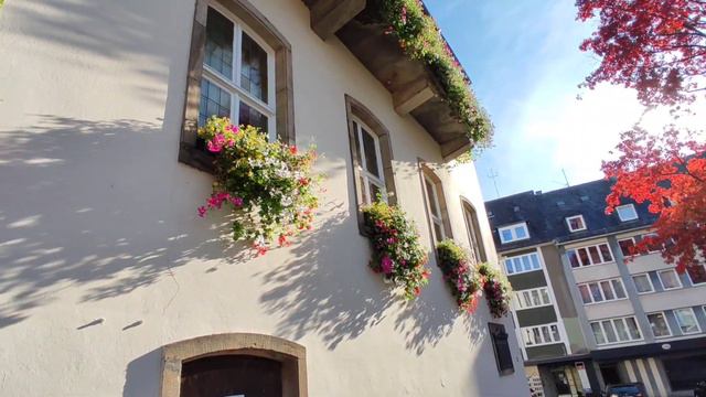 ГЕРАНЬ смотреть онлайн