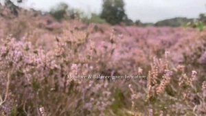 FIona Franchimon Moisture and Balance Haircare