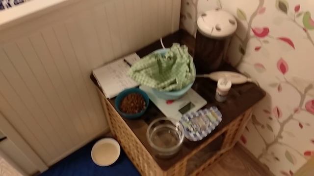 Первые дни после родов собаки. Уход за новорожденными щенками. смотреть онлайн