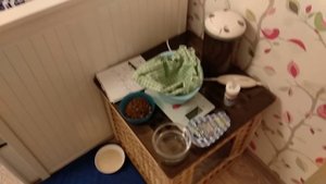 Первые дни после родов собаки. Уход за новорожденными щенками.